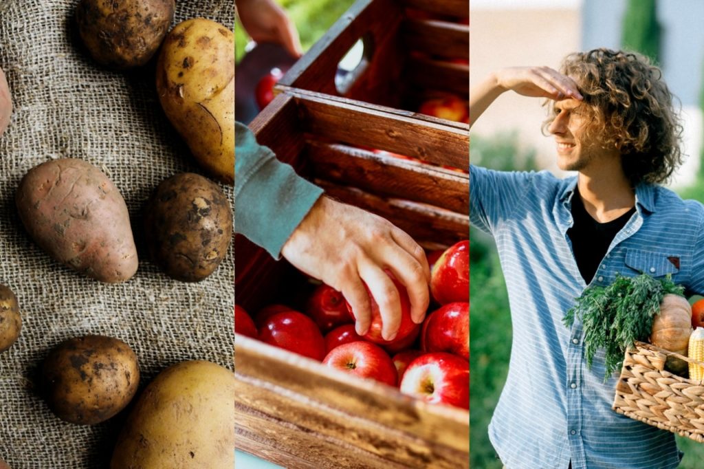 Een Dynamisch Aankoop Systeem, DAS, voor het lokaal inkopen van eten en drinken