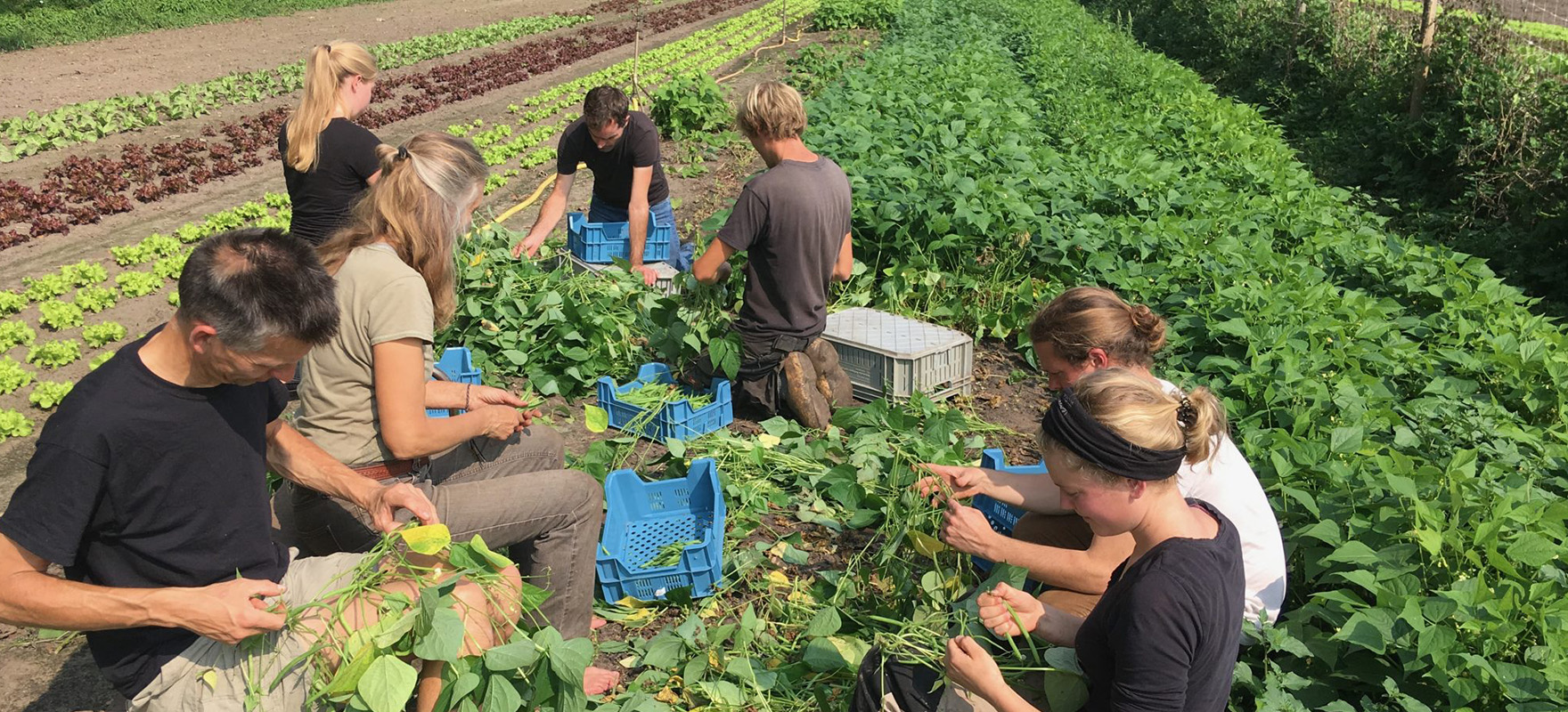 Beter Eten Uit de Korte Keten-boer