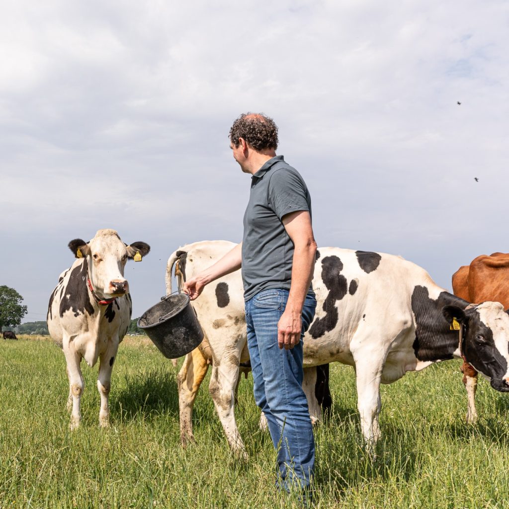 Mijn Melk - de Dobbelhoeve, Udenhout
